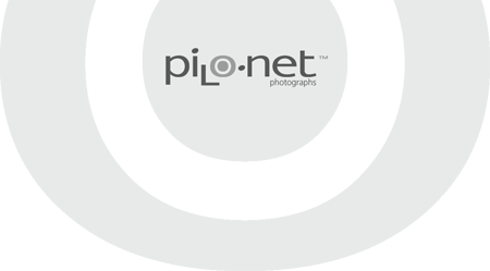 Pilo.net
